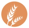 Gluten