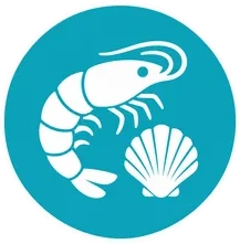 Marisco